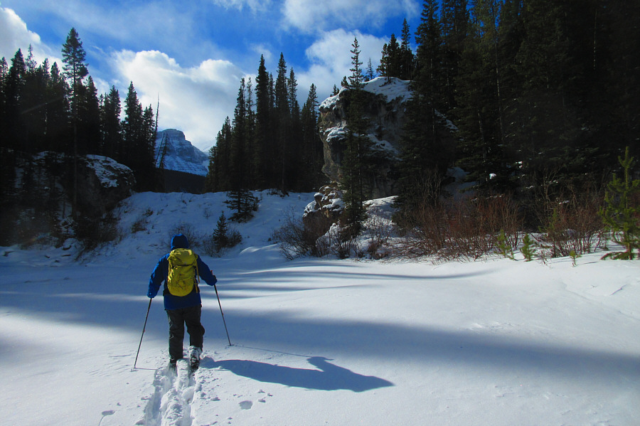 There is some open water here!