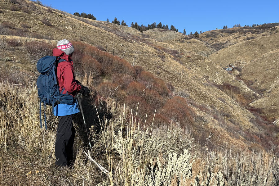 The stuff that dreams are made of...