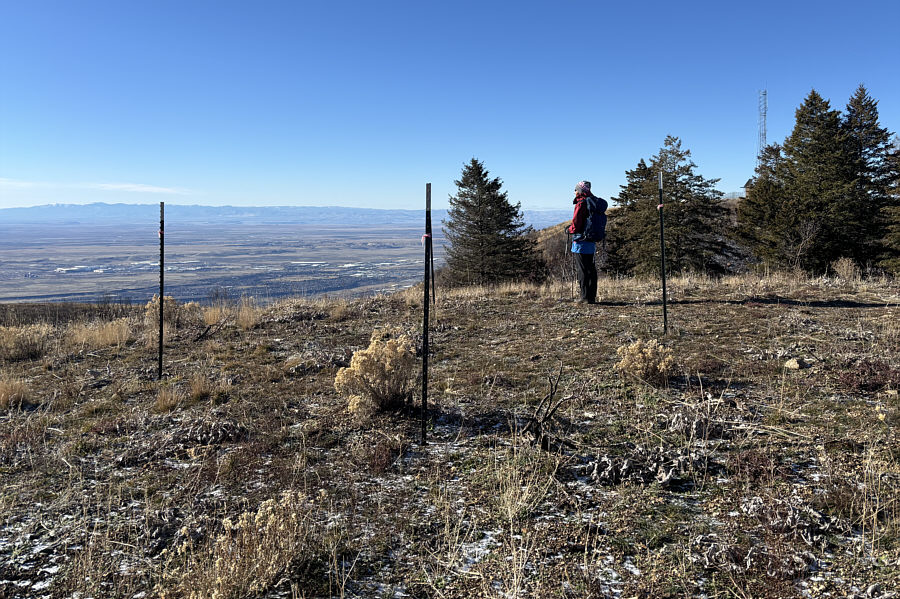 I wonder what the stakes are for...