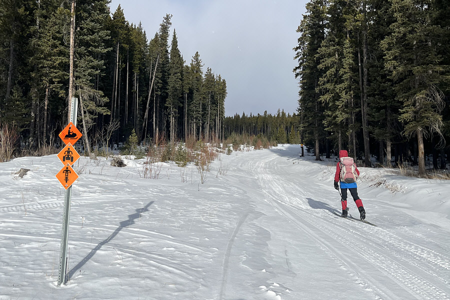 Much better snow conditions on this road!