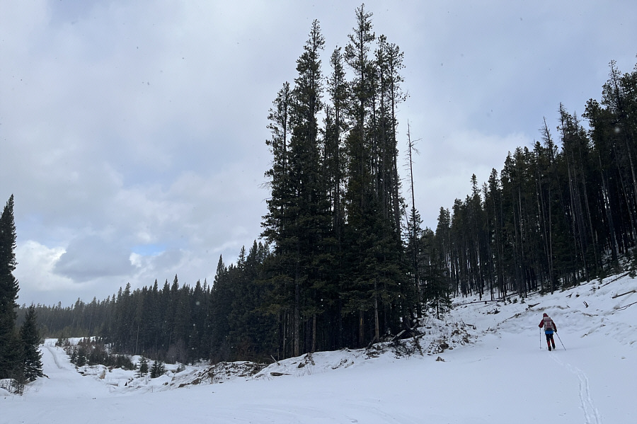 I took the road less traveled, and that has made all the difference!