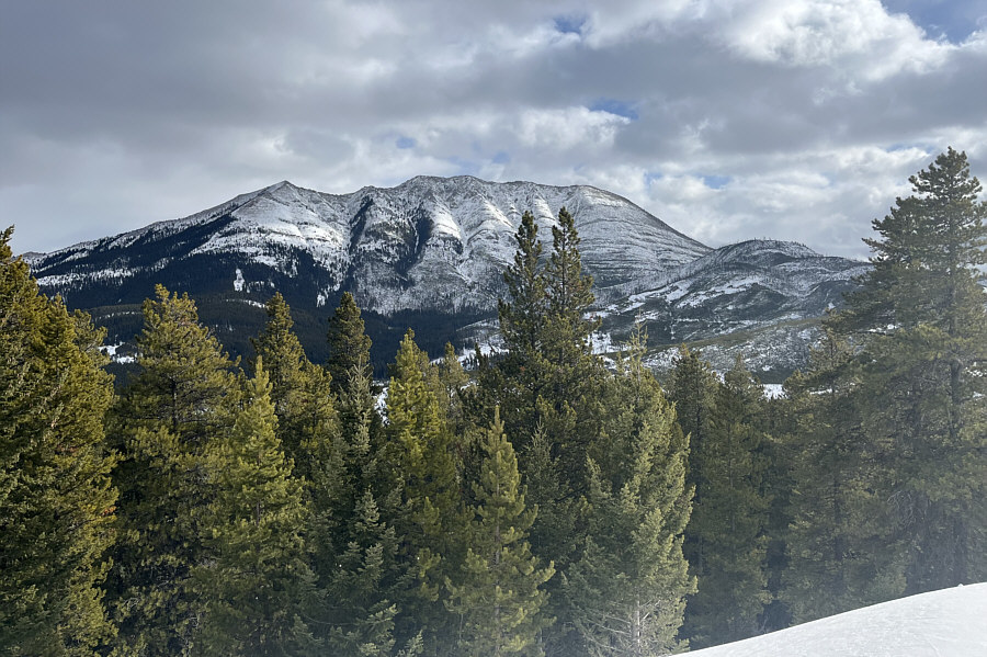 Seems like a lifetime ago when I was up on Turtle Mountain.