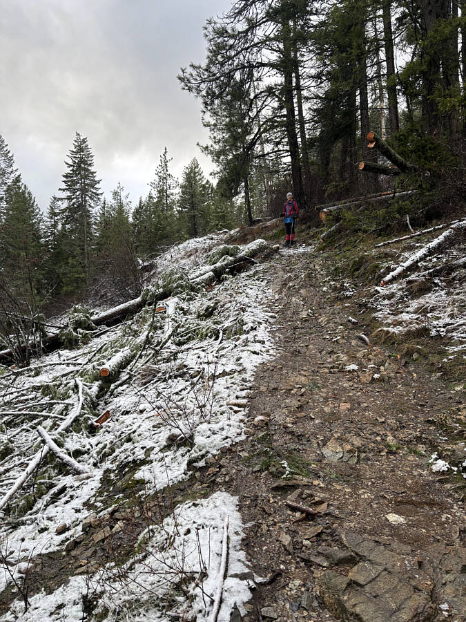 Not bad...for now...