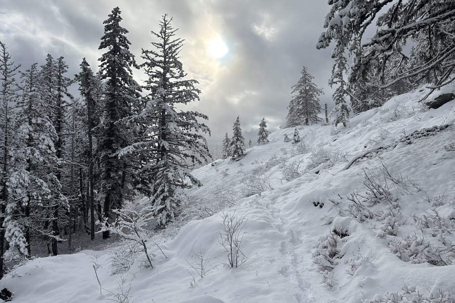 Definitely full-on winter up here!