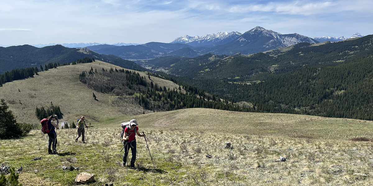 If this ridge was closer to Calgary, this would be a very popular hike!