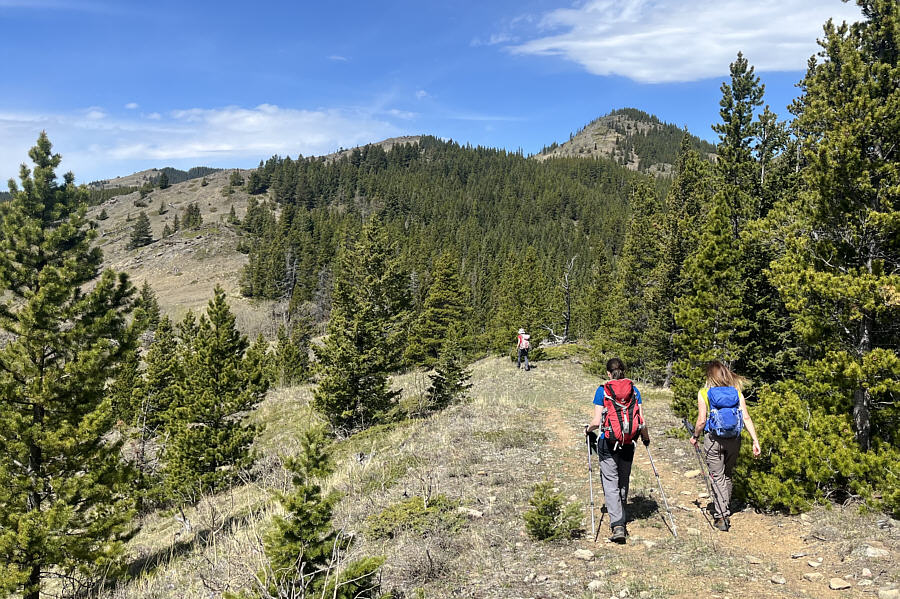 The bump is farther away than it looks here!