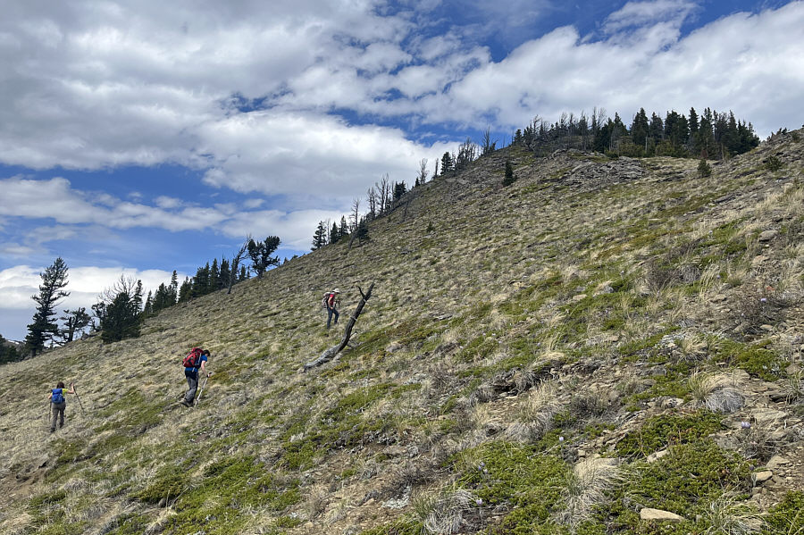 Unfortunately, not the last uphill grind of the day!