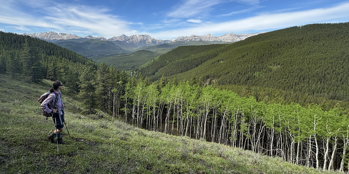 This clearing is probably seldom visited by people.