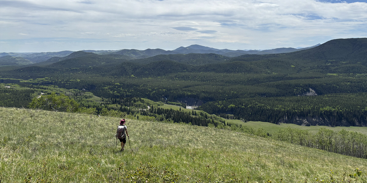 This is already a more scenic hike than Blue Ridge!