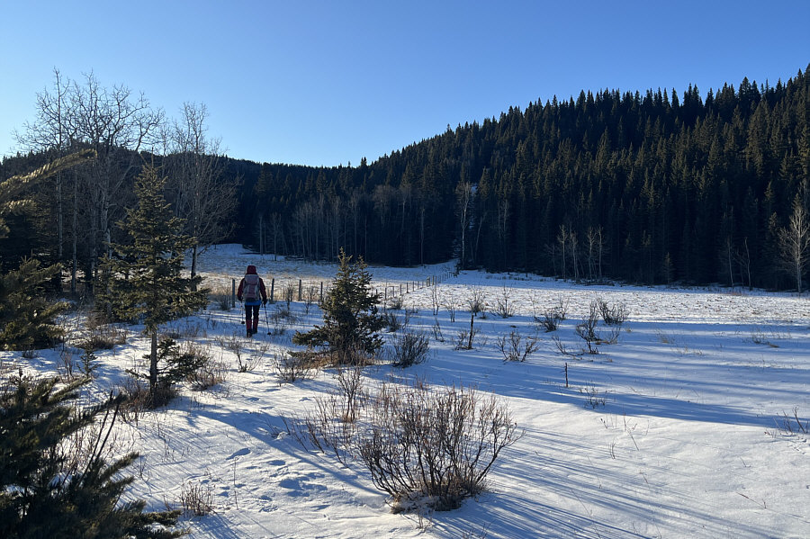 No short cutting here--private property on the left side of the fence!