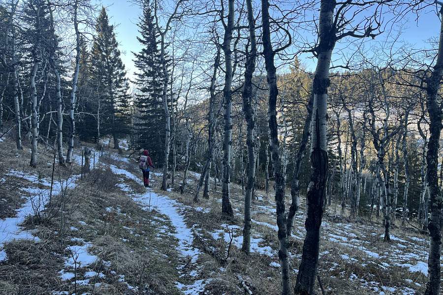 Might be worth returning to explore the other ridge...or not!