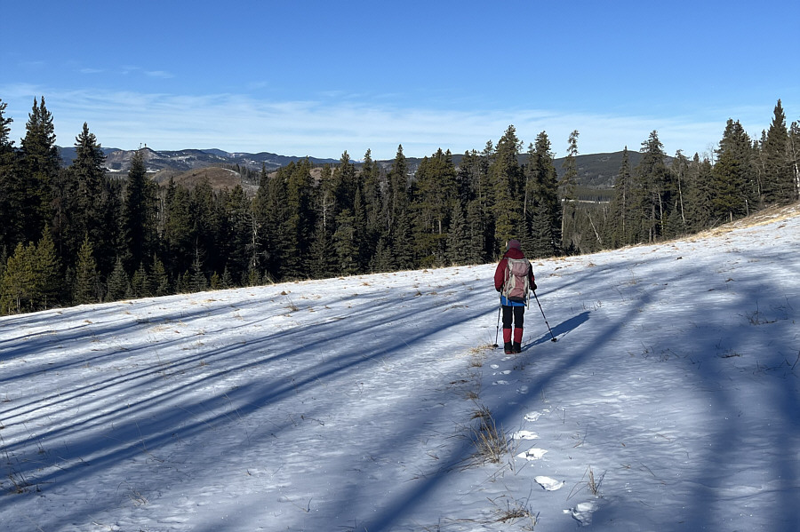 Nice ski slope here...sorta!