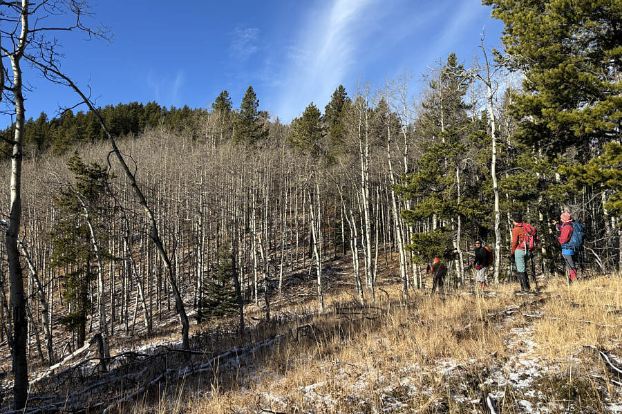Watch out for some barbed wire!