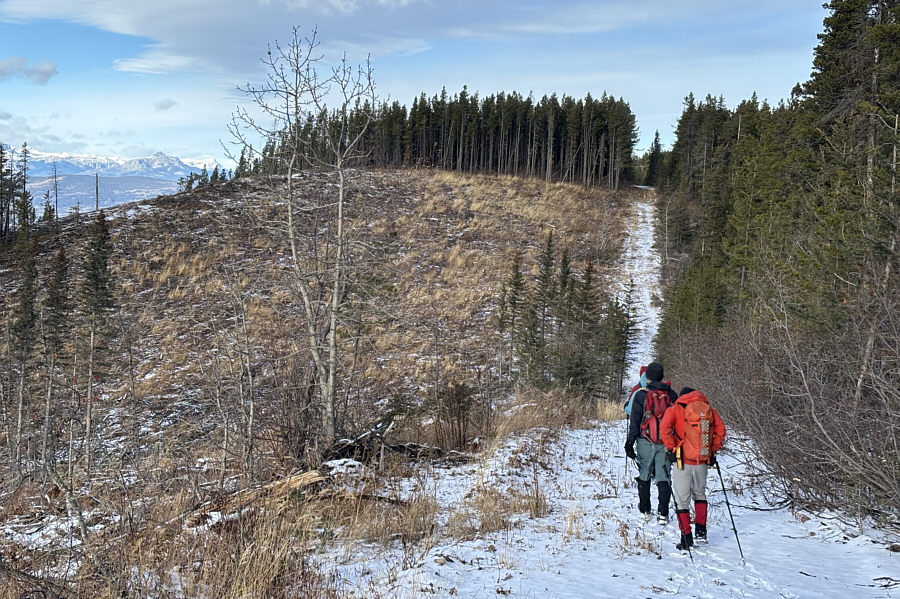 A few ups and downs, but that's better than bushwhacking!