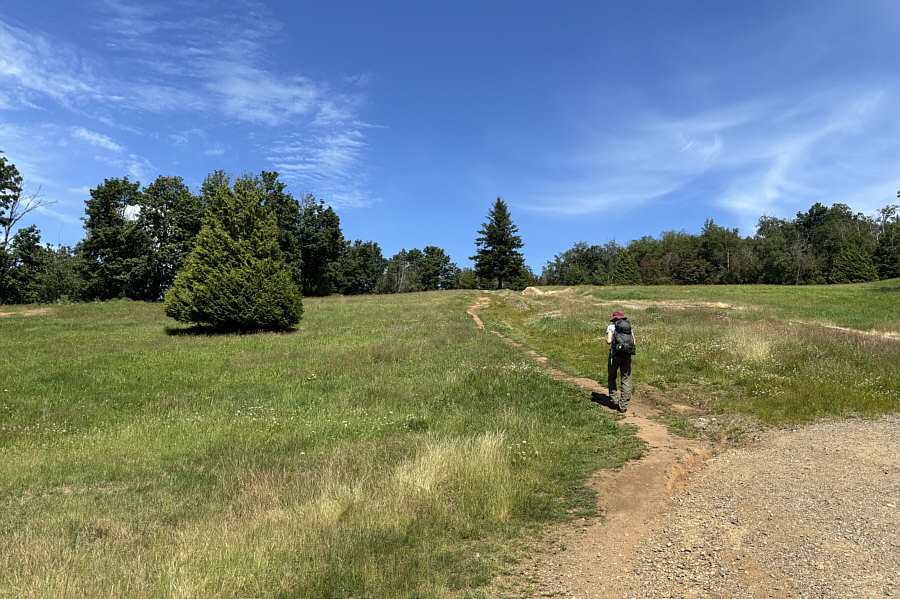 Why didn't they make this glade at the actual summit?