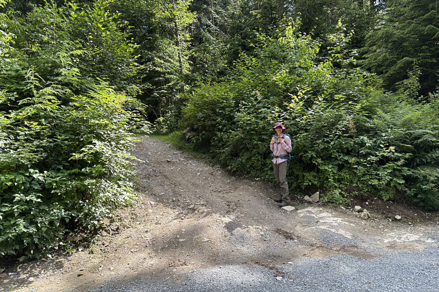 This is the short and easy way up Taggart Peak.