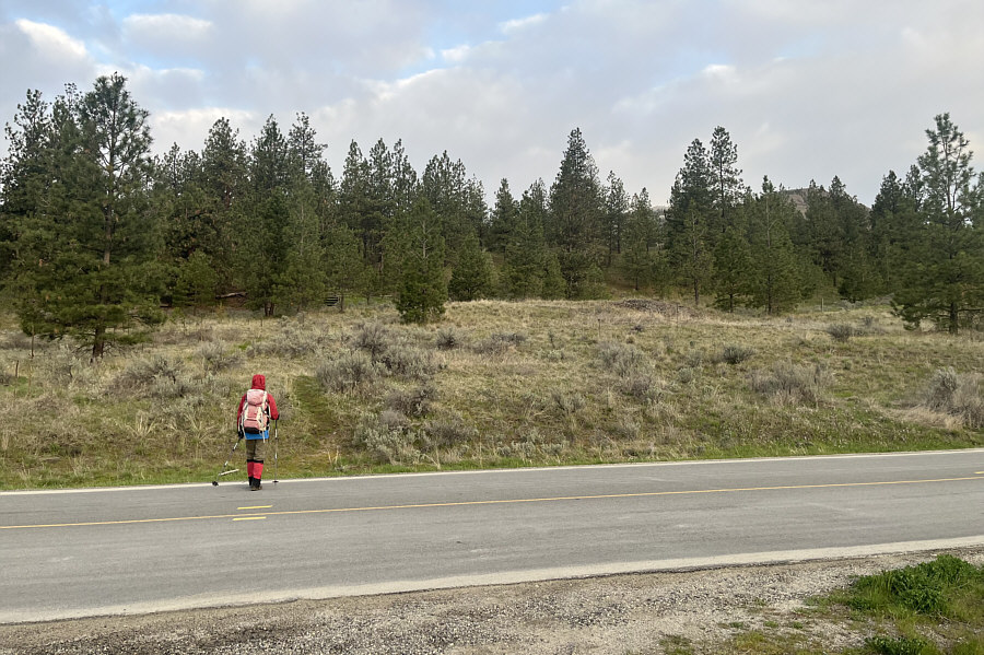 This road is actually busier than you might think--look both ways before crossing!