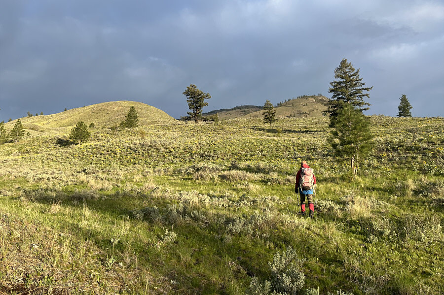 Freedom of the hills!