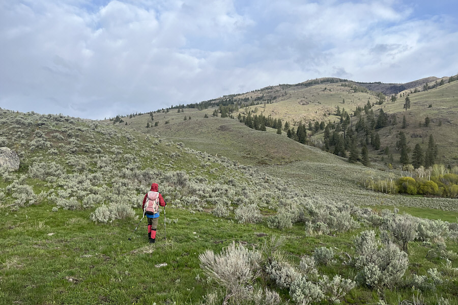 Get ready for a long uphill grind...