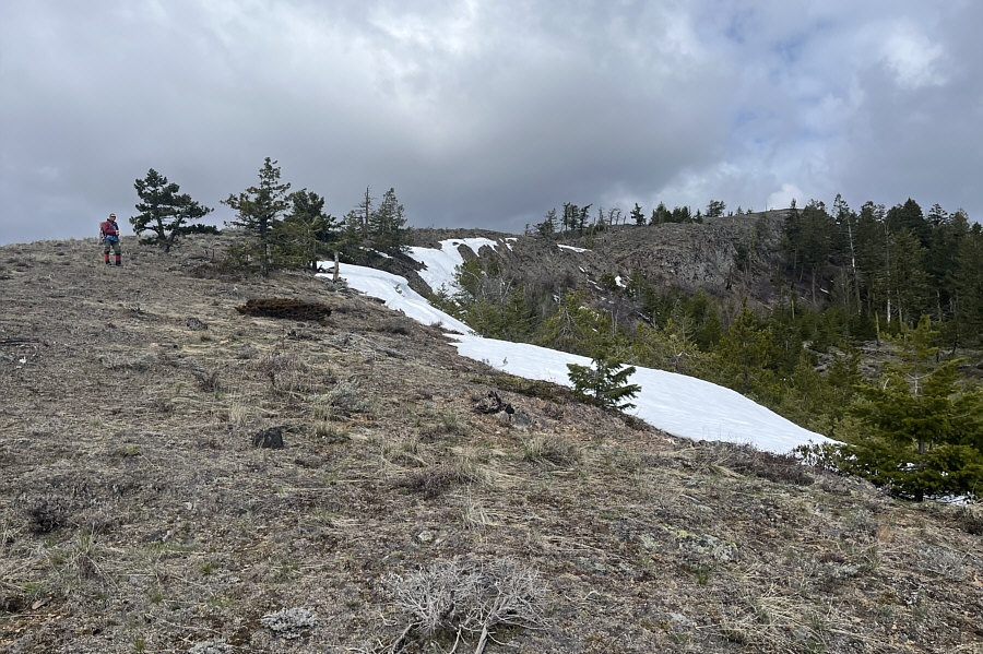 I wonder if this mountain gets enough snow to ski in winter...
