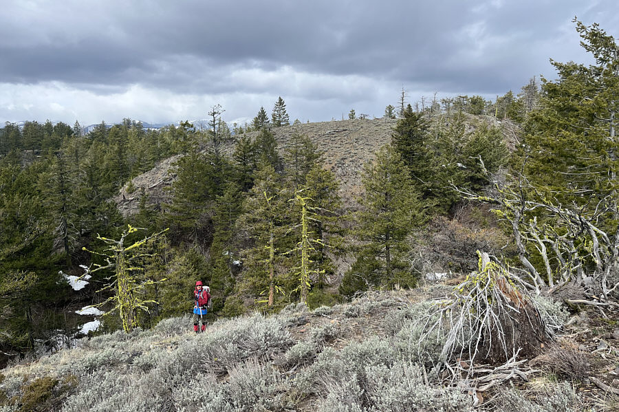 Lotsa frogs live in the dip...ribit!