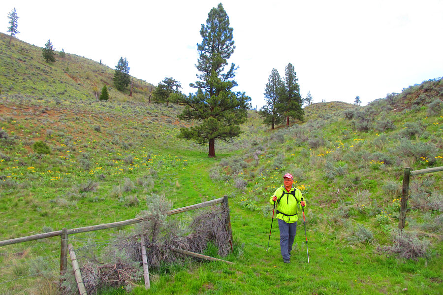 This jeep track might be a shorter approach for Mount Parker.