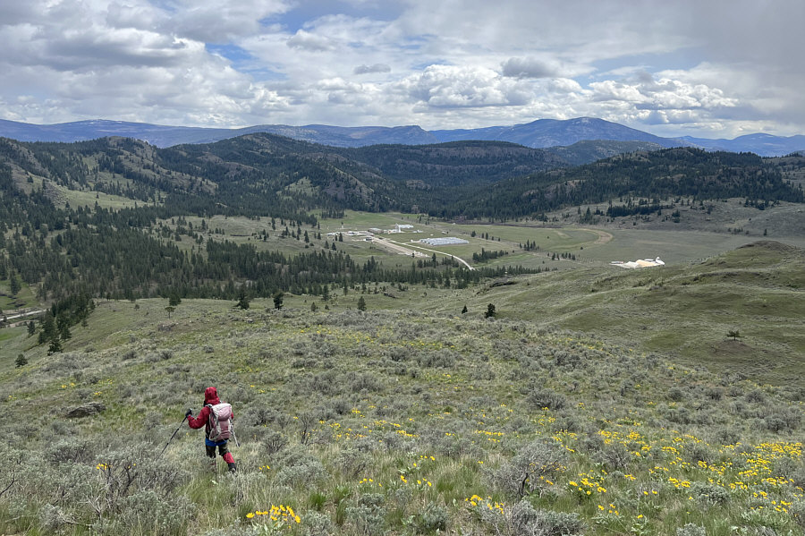 Watch your step--lotsa cacti hidden in the grass here!