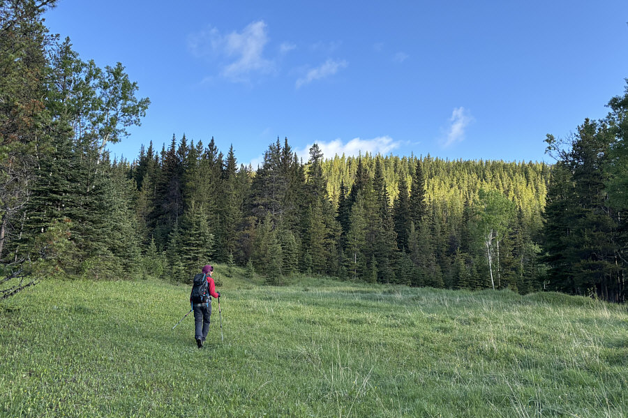 The ridge doesn't look like much from here...and it really isn't!