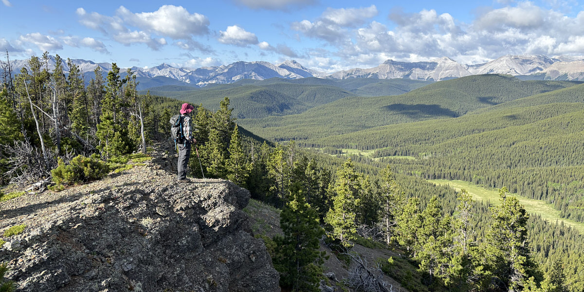 Not bad views for such a lowly ridge.