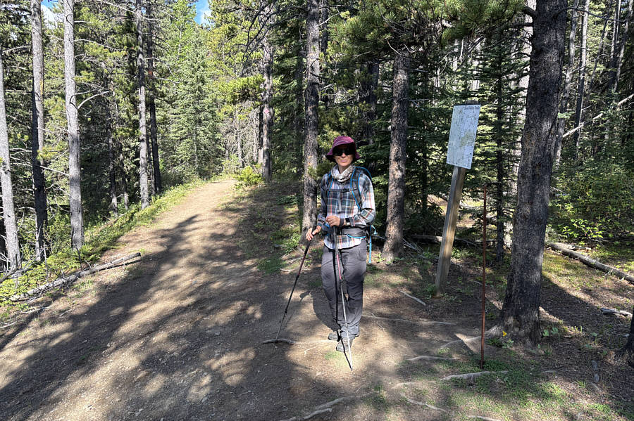 Two roads diverged in a yellow wood...