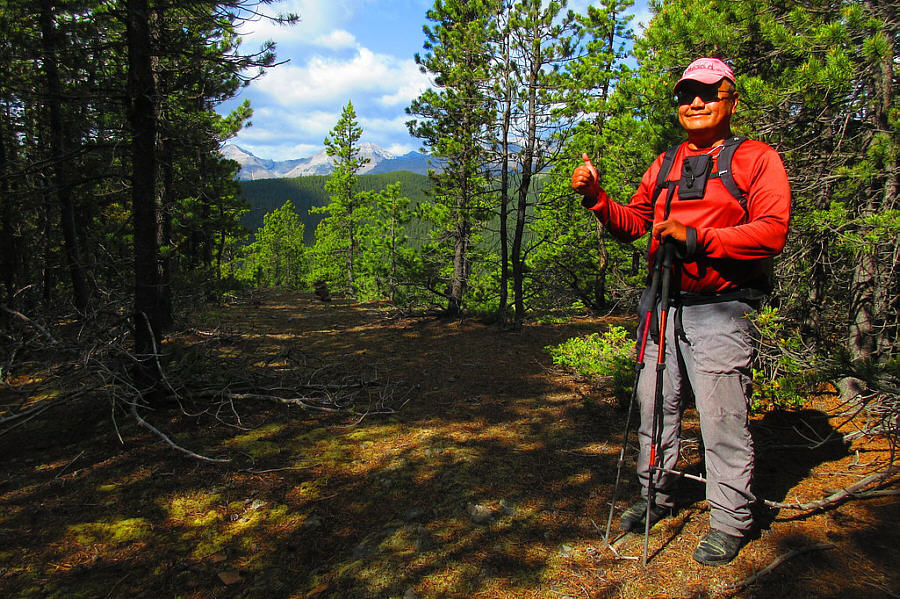 Loggers need to come clear-cut this hill!