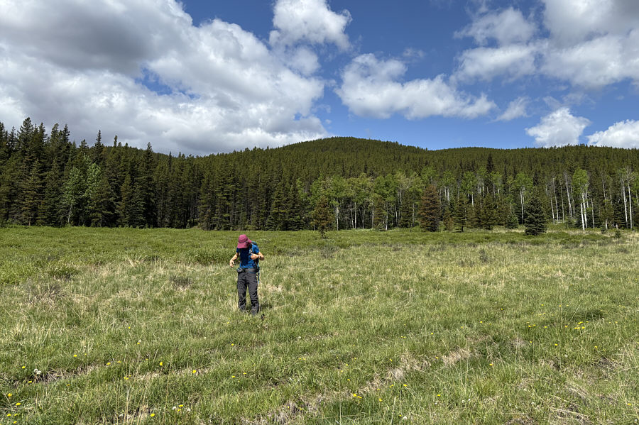 No more bushwhacking from here...yay!