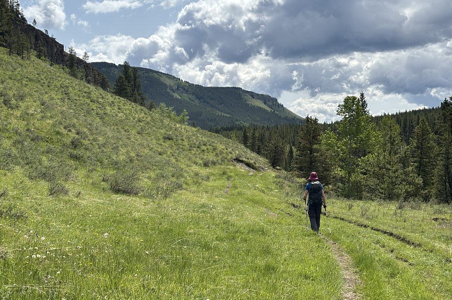 Annoyingly, there are still a few uphill sections to come!