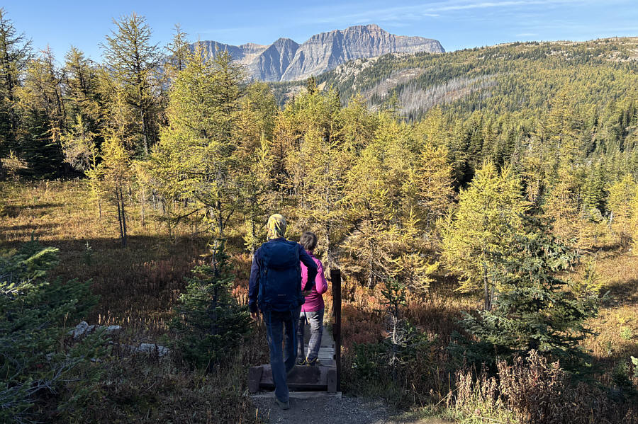 It's strange that Sunshine would not keep the gondola running for another couple of weeks into prime larch season; it must be a Parks Canada decision to limit visitors here. Ironically, this isn't even in a National Park!