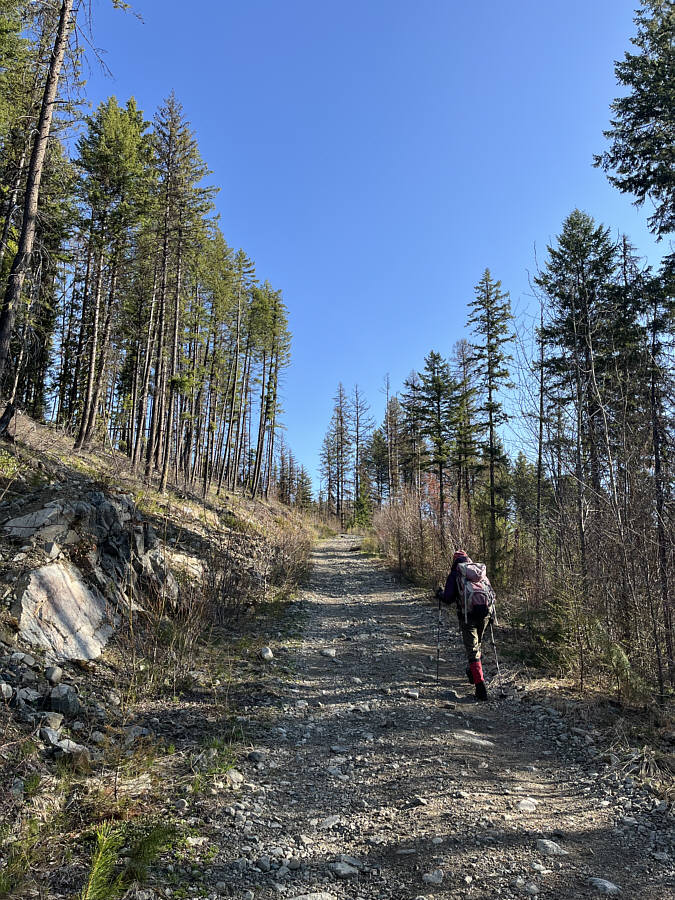 I could've driven up here!