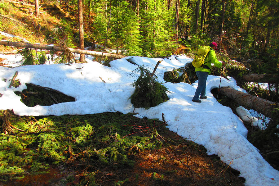 It would have been way better to go left here!