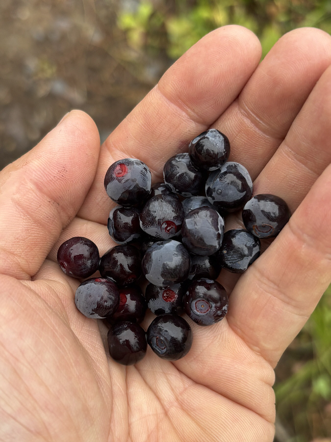 Free snacks in the rain!