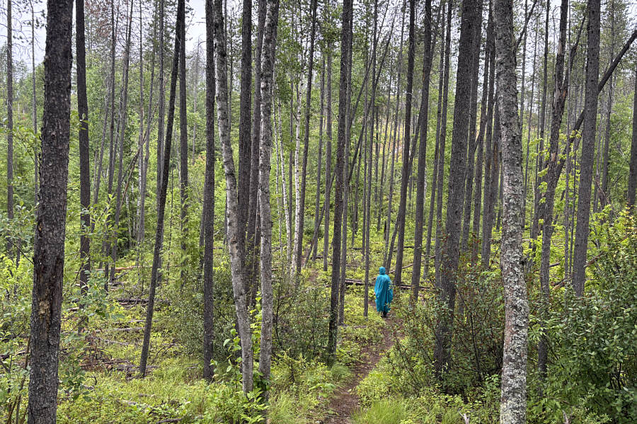 Is there any point in continuing?