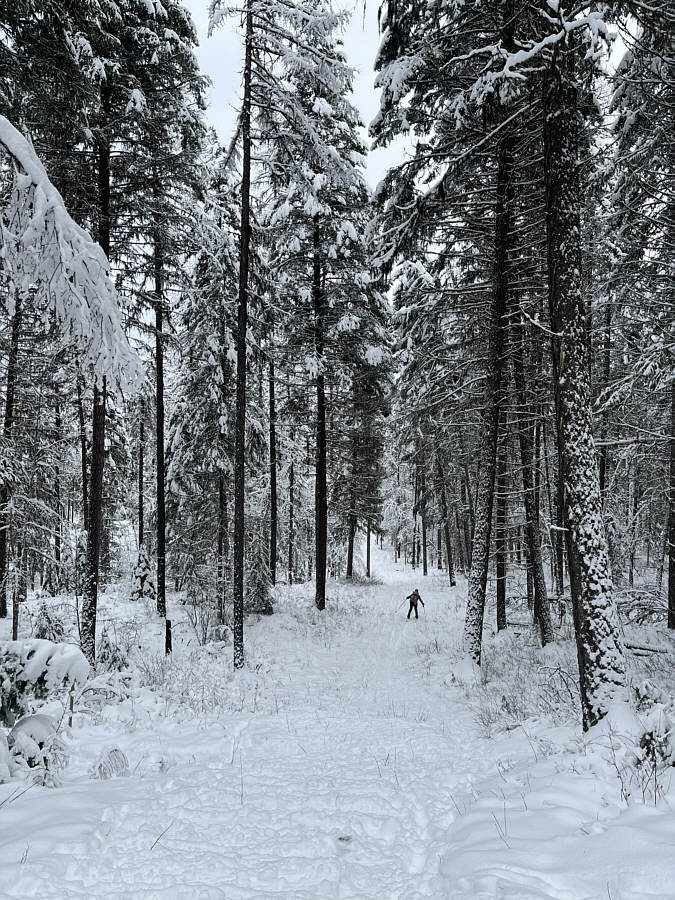 Steeper than it looks here!