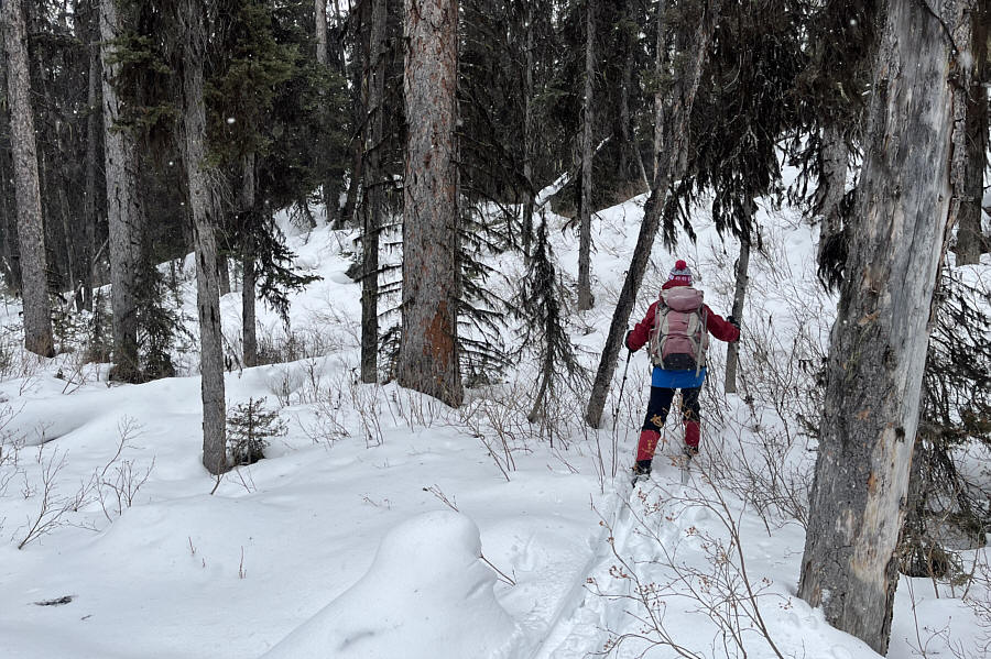 Simply brutal snow conditions!