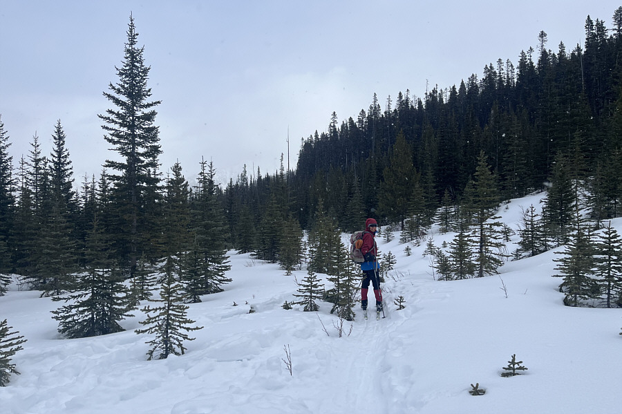 Thought it would be smooth sailing from here...DOH!