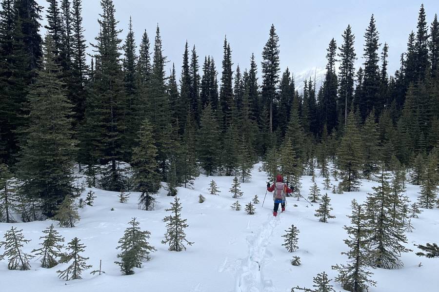 Daffern should change the corridor's nickname from "Slash" to "Misery"!