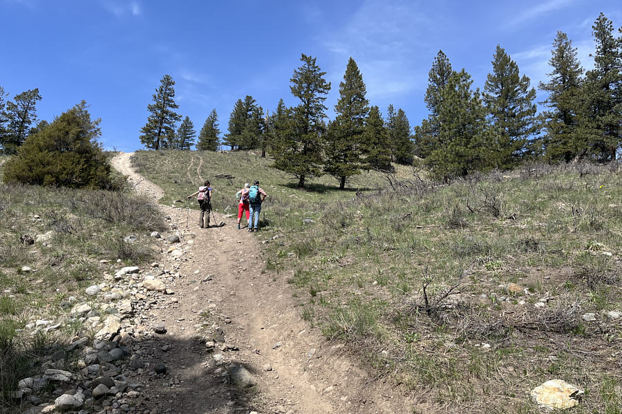 This would be a good hill to ski in winter if there was enough snow...