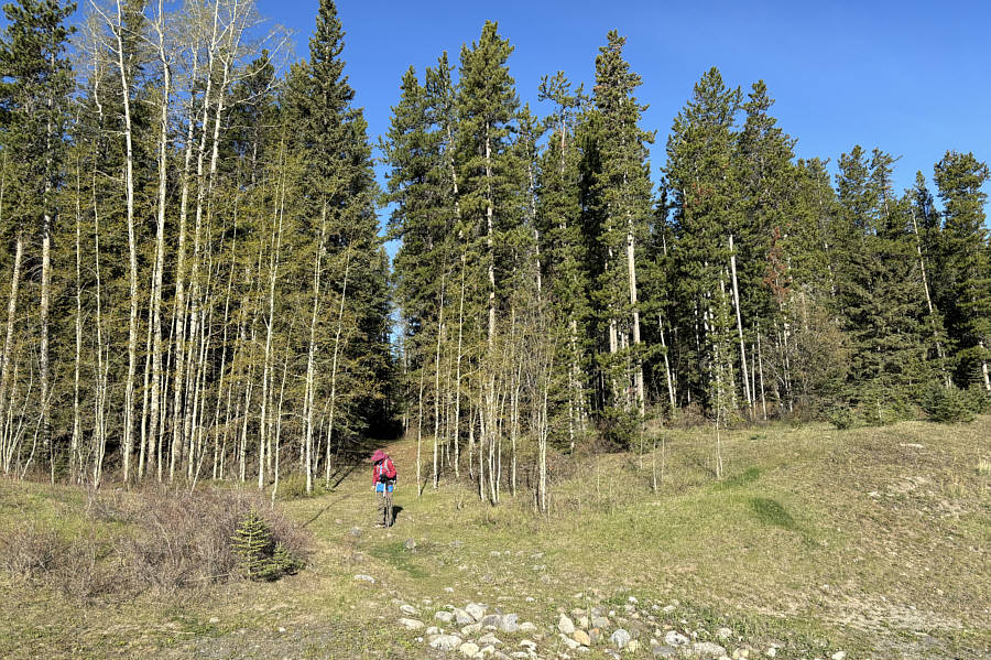 It's hardly the road into Mirkwood!