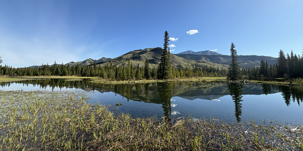 Luckily, there were no mosquitoes here...yet!