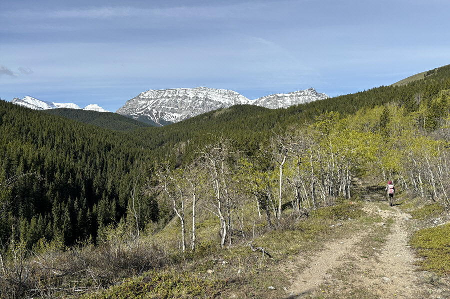 Other than a few hills, this road would be ideal for biking or maybe even skiing.