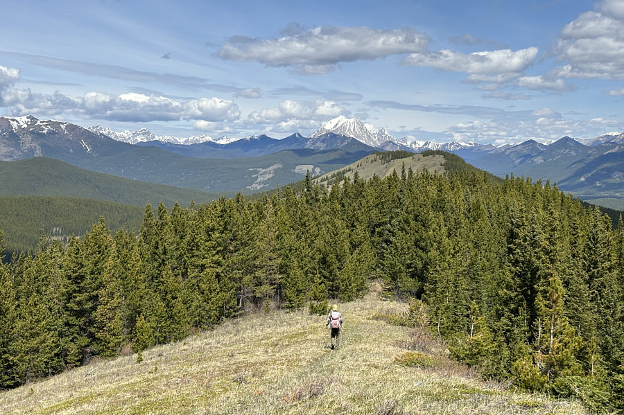 We're looking at more than 200 metres of elevation loss and re-gain to get there...