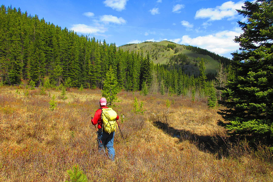 Saving some unnecessary elevation gain at the expense of wet feet!