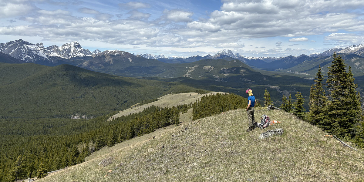 Kinda more of the same!