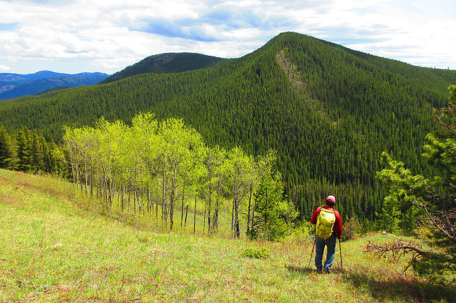 That climb back up south hill will be a real pain in the...